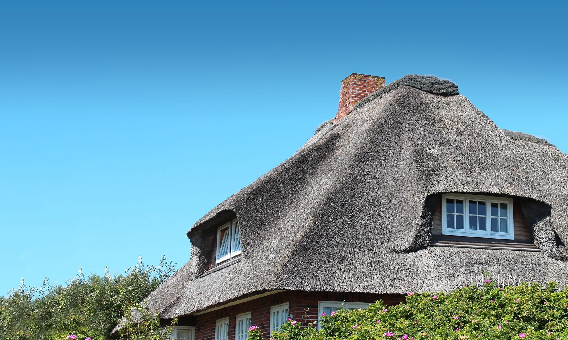 Reetgedecktes Haus mit weißen Fenstern vor klarem blauem Himmel und grünen Büschen